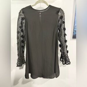 Black Sheer Long Sleeve Dress